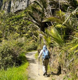 Paparoa national park
