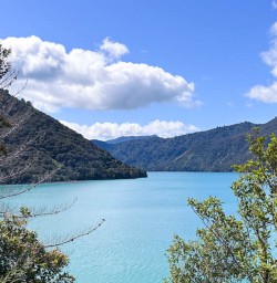 Pelorus sound two day hike