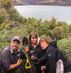 Planting tree at Mou Waho Island, Wanaka Otago New Zealand