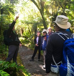 learning about our unique environment. Milford Track Fiordland.