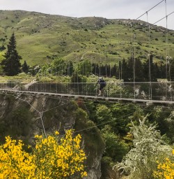 Riding the Edgar bridge, Queenstown New Zealand