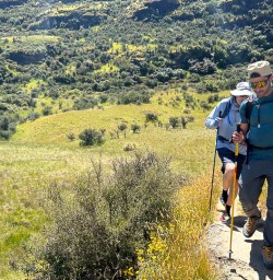 rocky Mountain guided tour with New Zealand Trails 