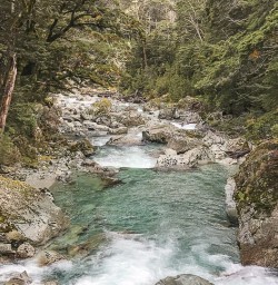 Routeburn Track River, Otago New Zealand