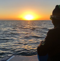 Sunrise on the boat at Kaikoura, Canterbury New Zealand