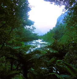 Milford Track