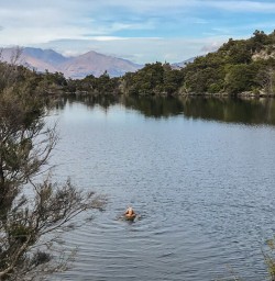 Swim at Mou Waho Island, Wanaka Otago New Zealand