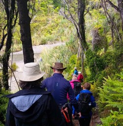 Hollyford Track Fiordland National Park Southland New Zealand