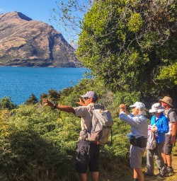 Walking tour at Mou Waho Island, Wanaka Otago New Zealand