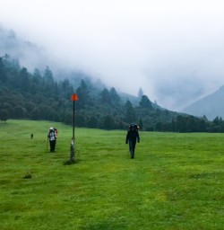 5. The orange triangle Nydia Track