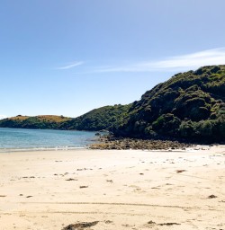 Guests on Stewart Island Beach