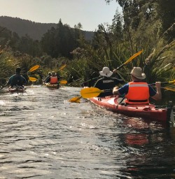 5. Group kayaking down stream
