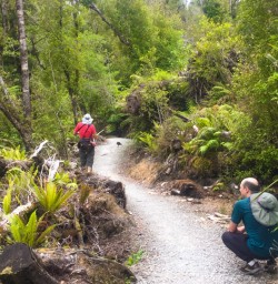 5. West Coast walk Weka on trail