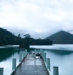 5. Pelorus Sound