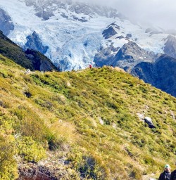 Views up Sealy Tarns to Mt Sefton