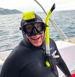 Dolphin swim New Zealand 