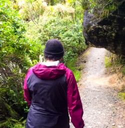 5. Pororari River Track
