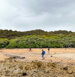 5. Ulva Island beach walk