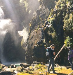 5. Big falls on Hollyford Track