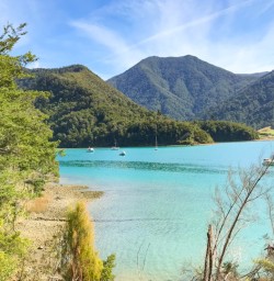5. Coastal views from the Nydia Track