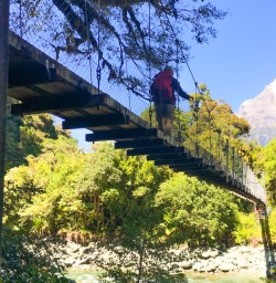 5. Crossing swing bridge on Hollyford Track