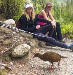 5. Curious Weka
