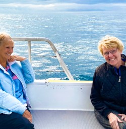 5. Dolphin spotting