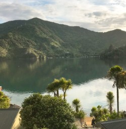 5. Dusk views from Lochmara lodge