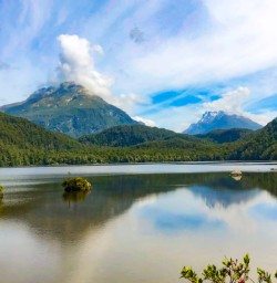 5. Fiordland Reflections