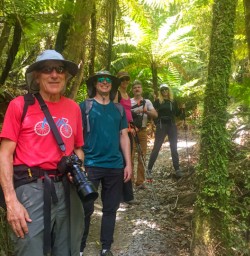 5. Franz Josef West Coast guests in forest