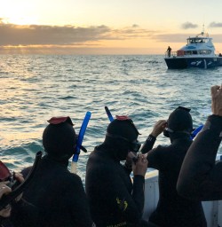 5. Guests getting ready for Dolphin Swim