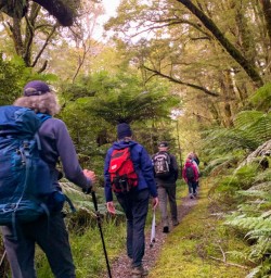 5. Guests hiking Hollyford Track