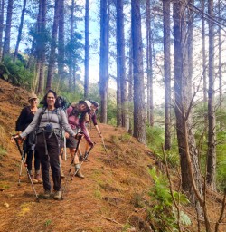 5. Guests in forest Nydia Track
