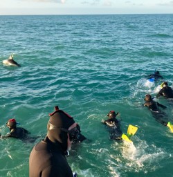 5. Guests in the water dolphin swim