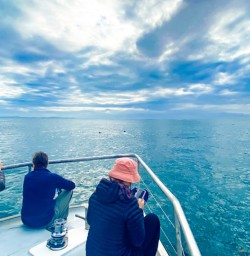 5. Guests on dolphin swim boat