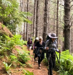 5. Guests walking through forest Nydia Track