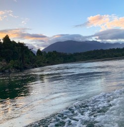 5. Jet Boat to Hollyford Track