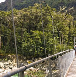 5. Long swing bridge crossing on the Hollyford