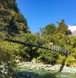 5. Long swing bridge on Hollyford Track