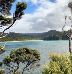 5. Rakiura Track views