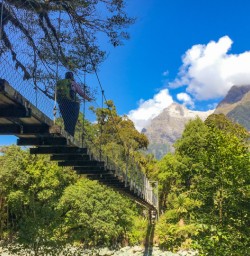 5. Solo guest crossing long swing bridge on Hollyford Track