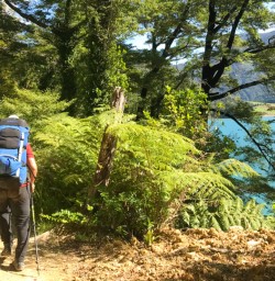 5. Solo guest hiking Nydia Track