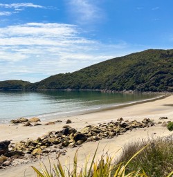 5. Stewart Island beach