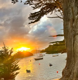 5. Stewart Island sunset
