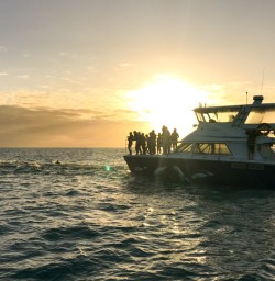 5. Sunrise over dolphin swim boat