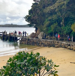 5. Ulva Island jetty