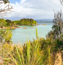 5. Ulva Island views