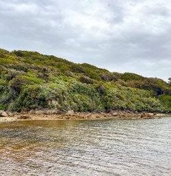 5. Ulva Island