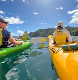 5. View from Kayaks Queen Charlotte Sound