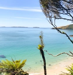 Views from Rakiura Track sea