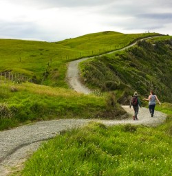 5. West Coast walkway